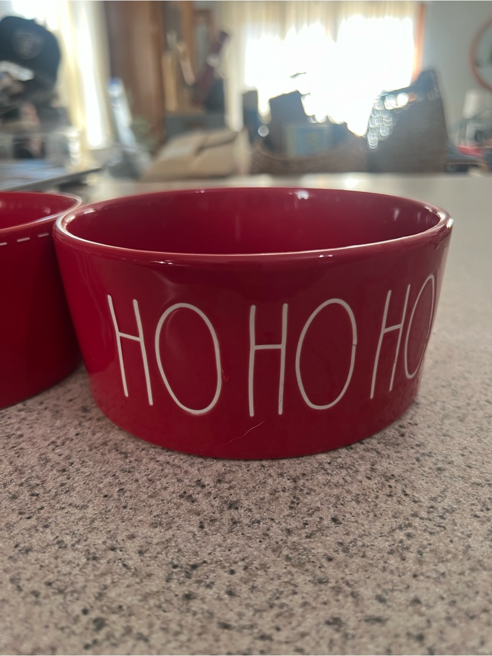 Red 'HO HO HO'  and JOY Holiday dog bowls